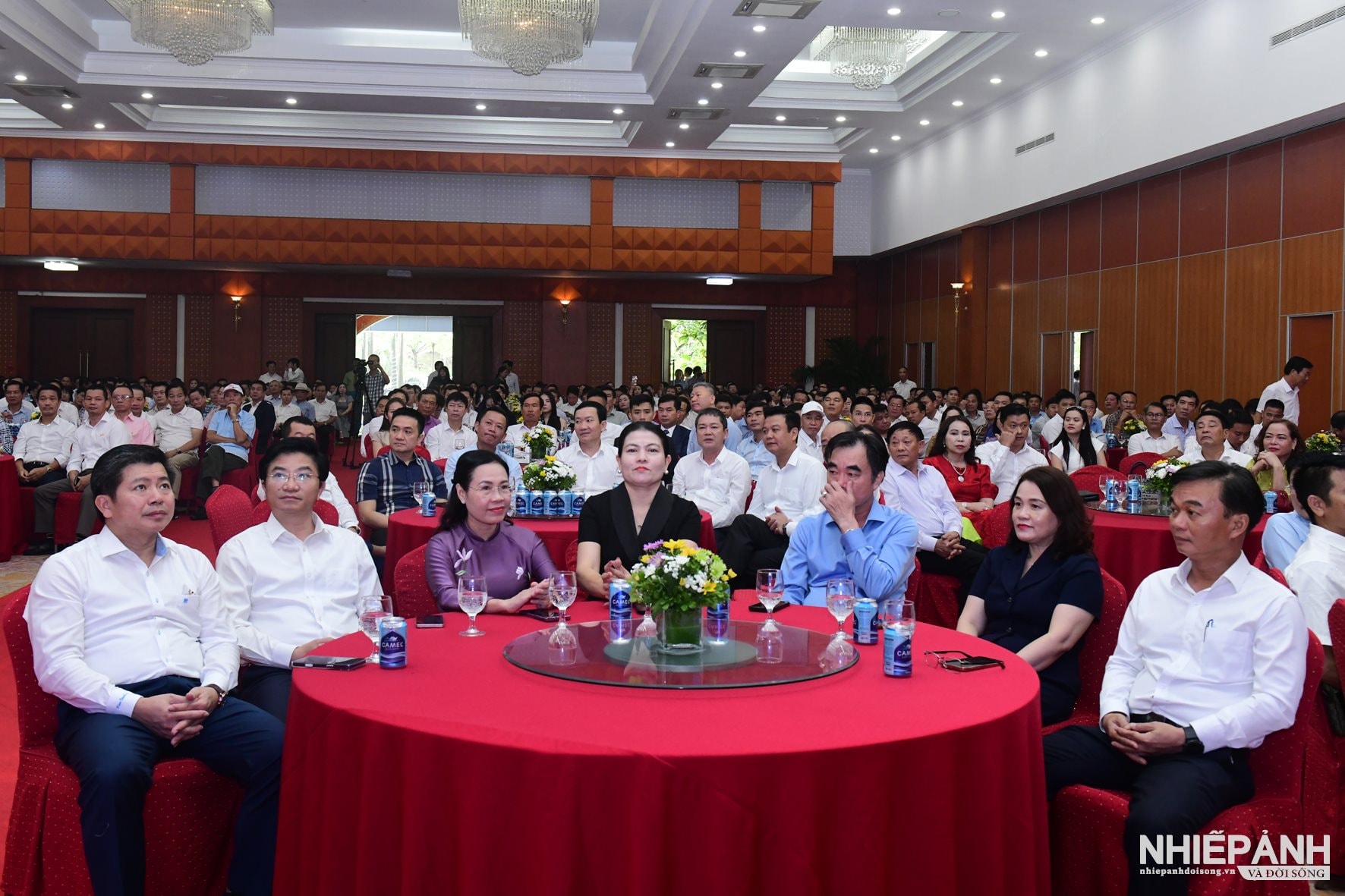 W_dsc_5546-copy.jpg