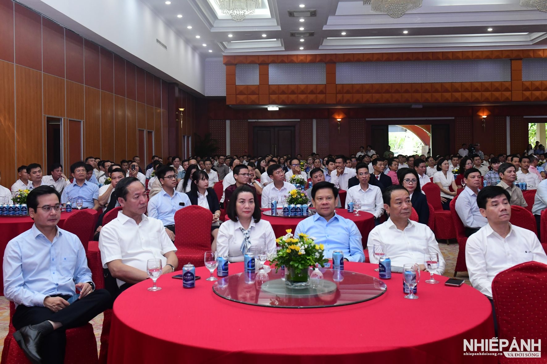 W_dsc_5549-copy.jpg