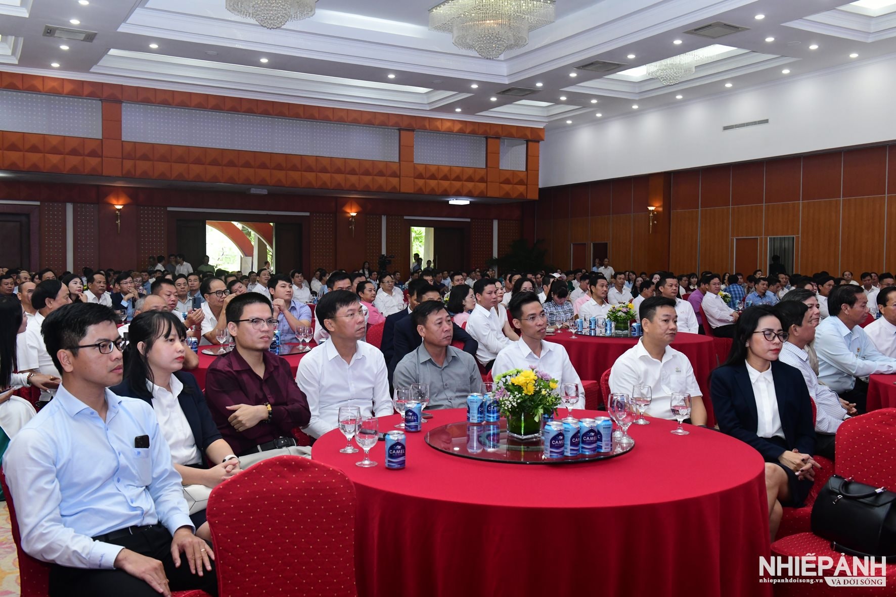 W_dsc_5552-copy.jpg