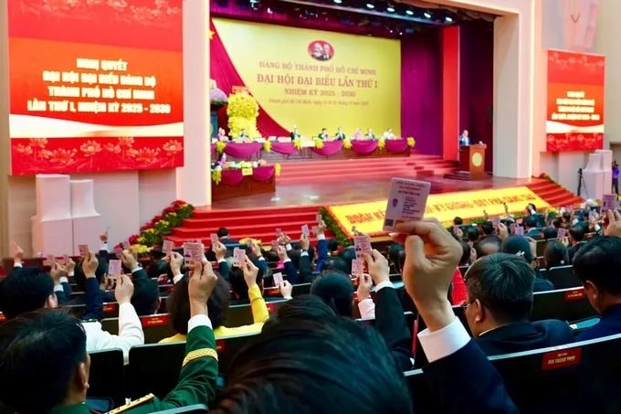 dai-bieu-bieu-duong-z7118157131400-066da7d34b81b93227c8de087c02ec14-4183-1042.jpg.jpeg