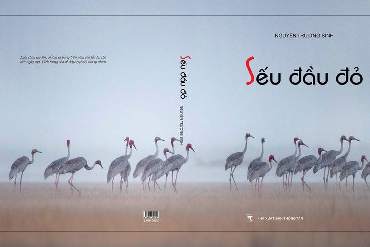 w_hcd-nguyen-truong-sinh-sach-anh-seu-dau-do.jpg