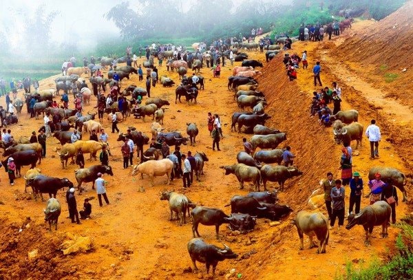 Kết quả thi ảnh quốc tế “Blue Line - Đường màu xanh 2025” tại Serbia