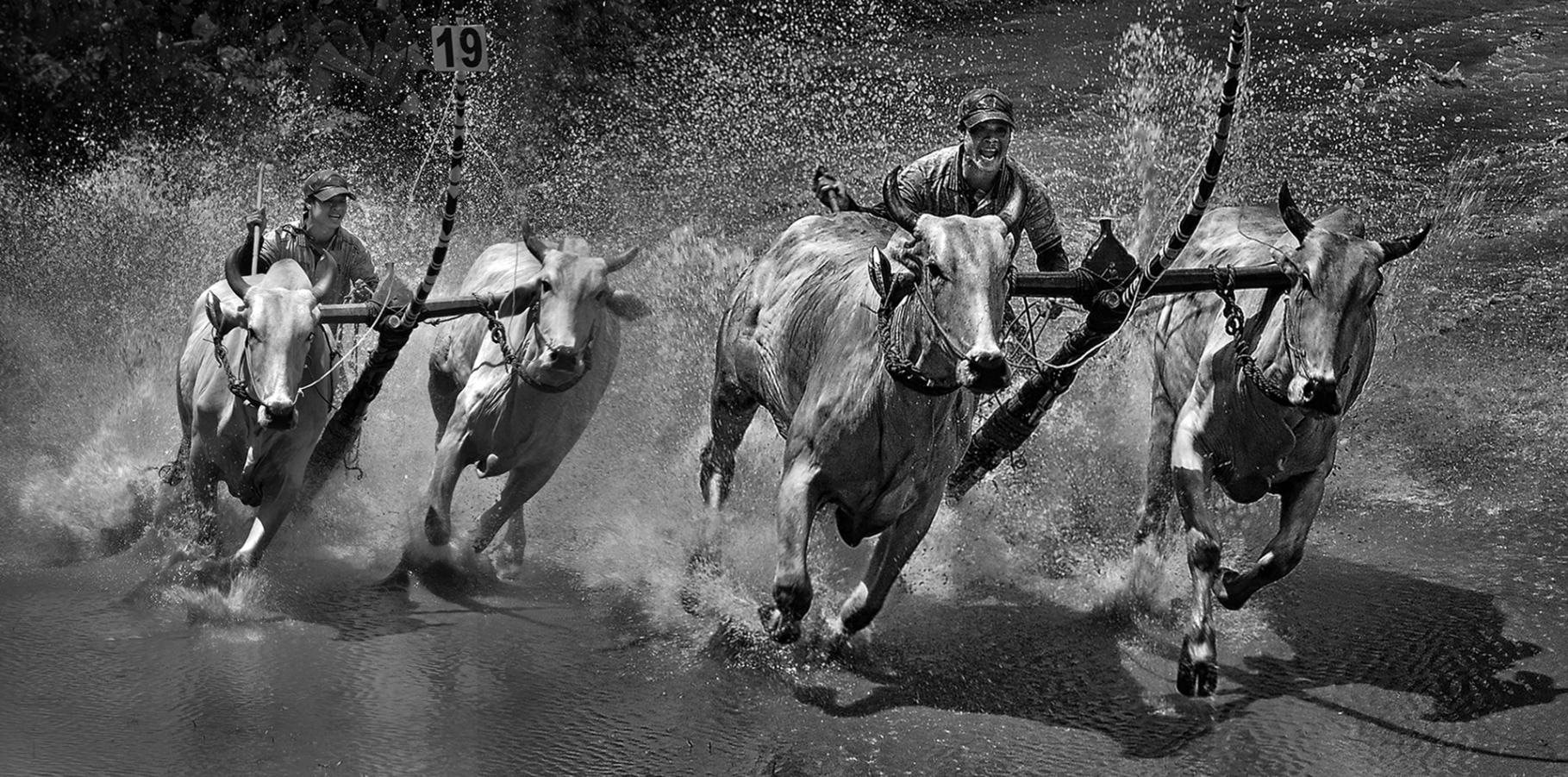 Kết quả thi ảnh quốc tế “Baku 2025” tại Azerbaijan