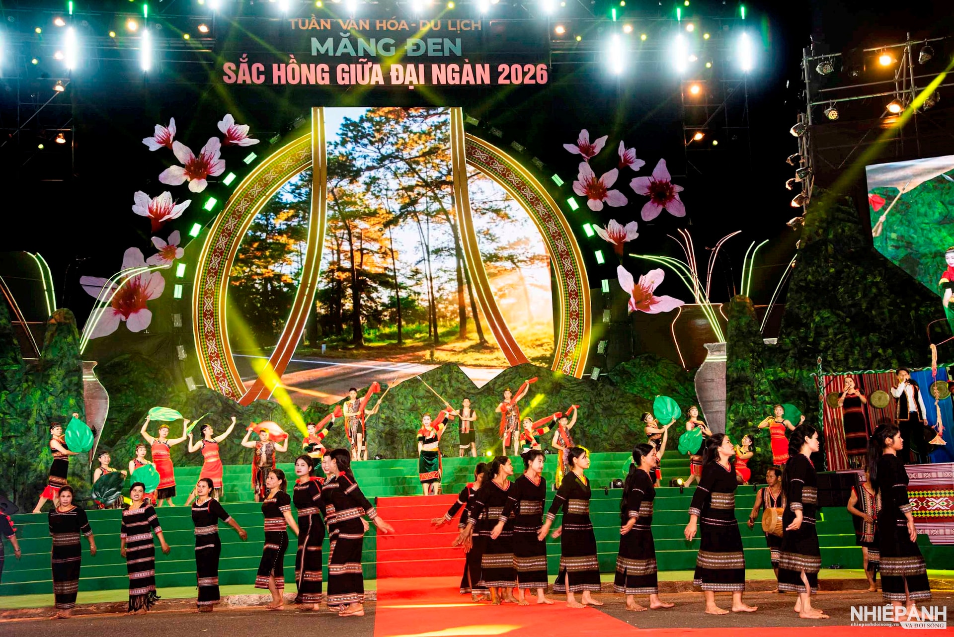 W_10.-mang-den-sac-hong-giua-dai-ngan-nam-2026.-nsna-nguyen-dang-lam.jpg