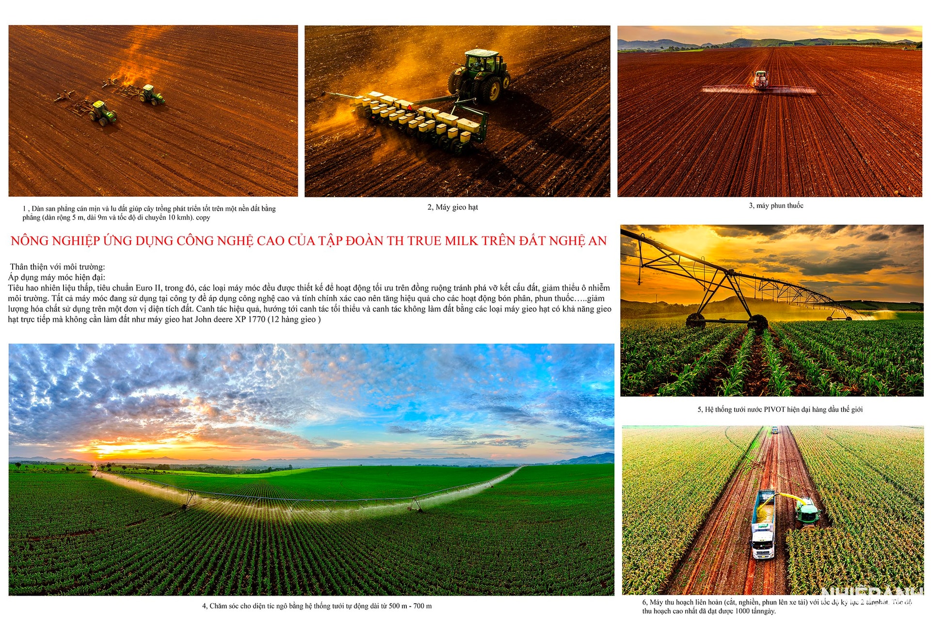 W_1.nong-nghiep-ung-dung-cong-nghe-cao-cua-tap-doan-th-true-milk-tren-dat-nghe-an-giair-nhat.-anh-le-quang-dung.jpg