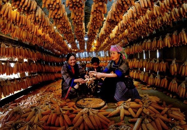 Kết quả thi ảnh quốc tế “Adriatic 2026” tại Serbia