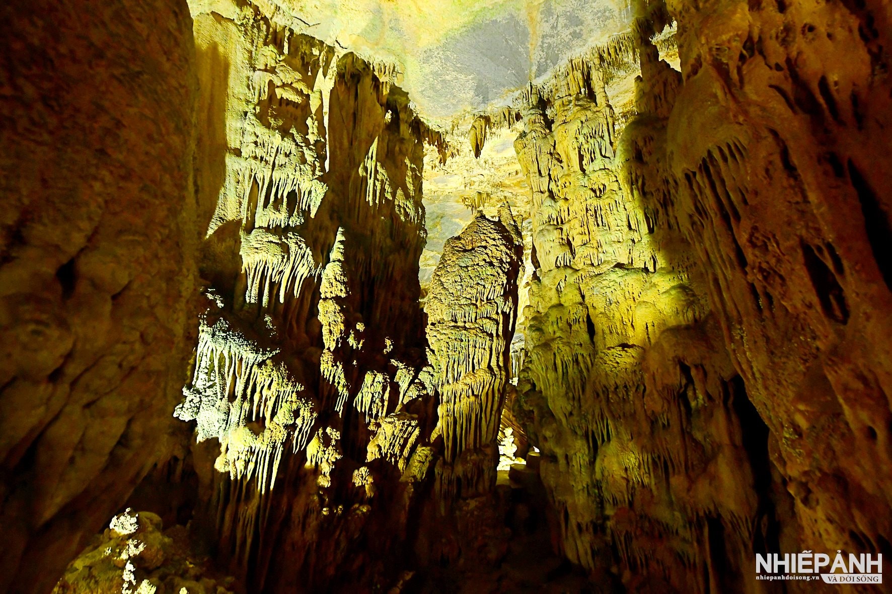 W_dsc_5001-copy.jpg