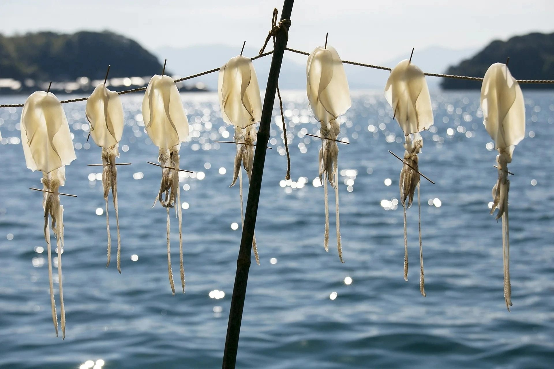 imgi-70-p0nphmfj-1780673558.jpg
