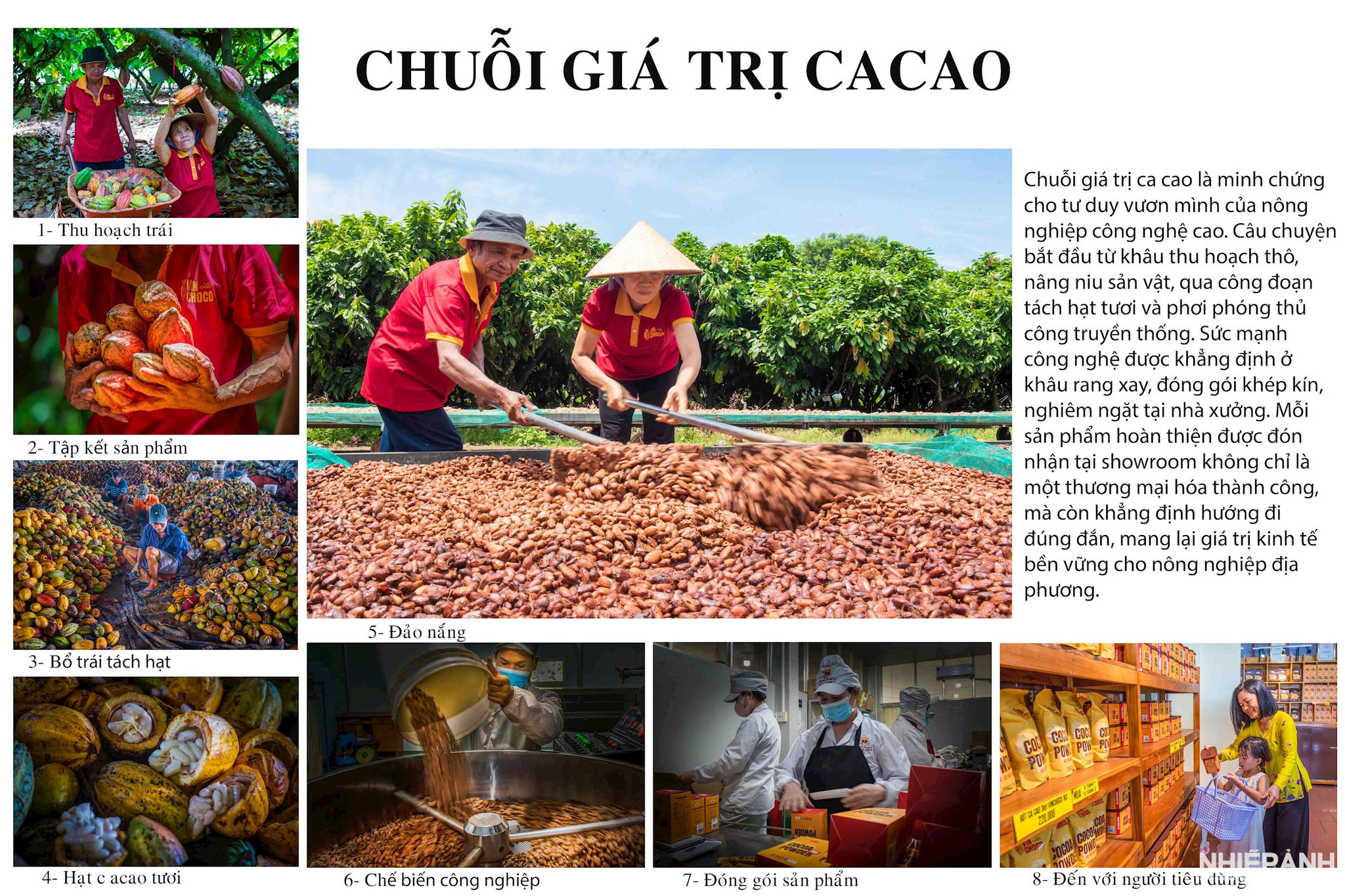 W_95.-chuoi-gia-tri-cacao-anh-bo-_1.jpg