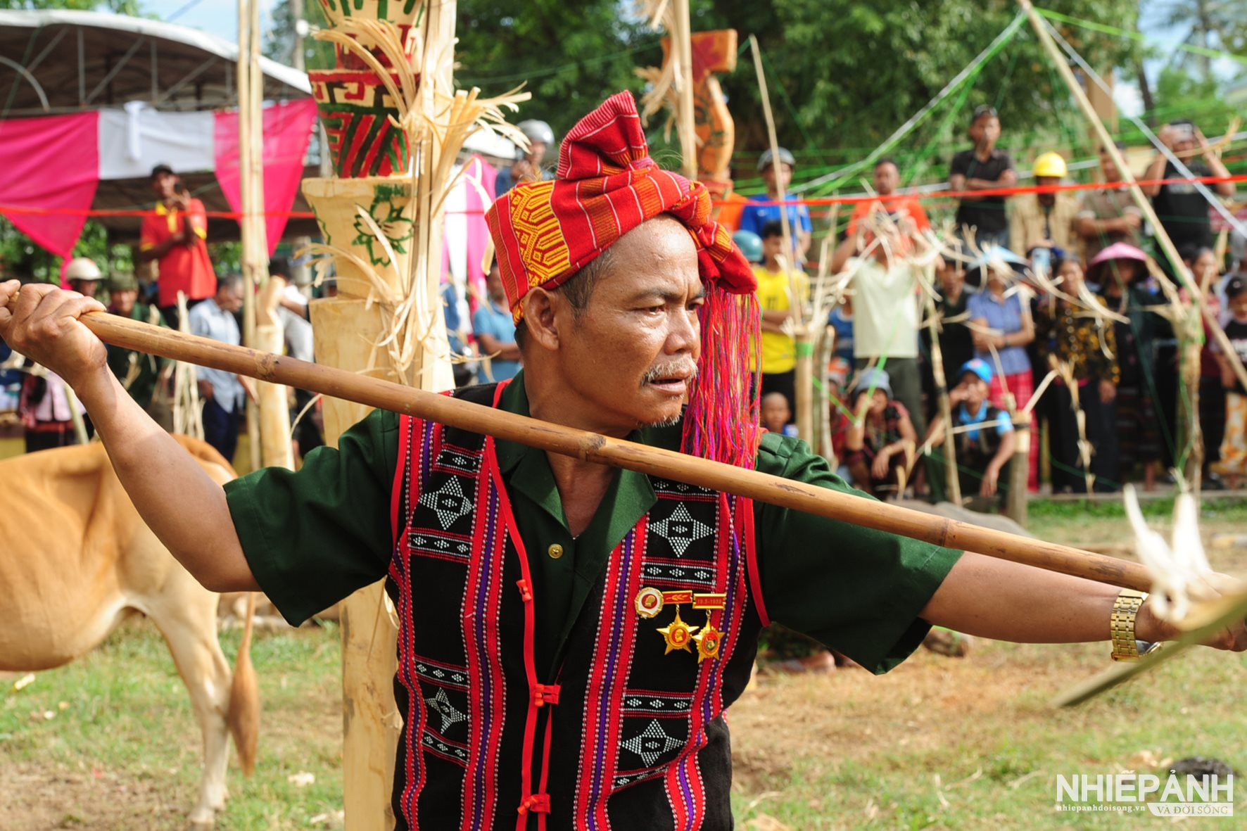 W_ha2_3761-copy.jpg