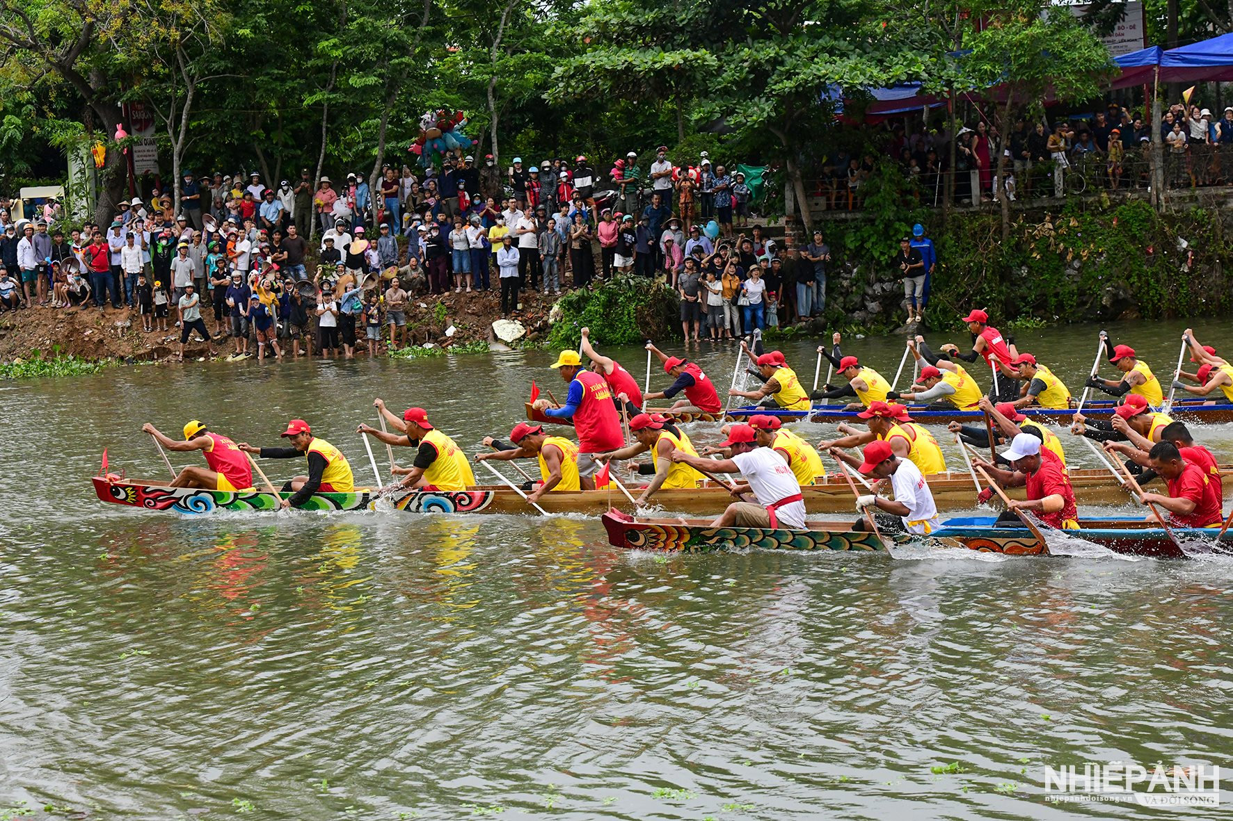 W_dsc_5012-copy.jpg
