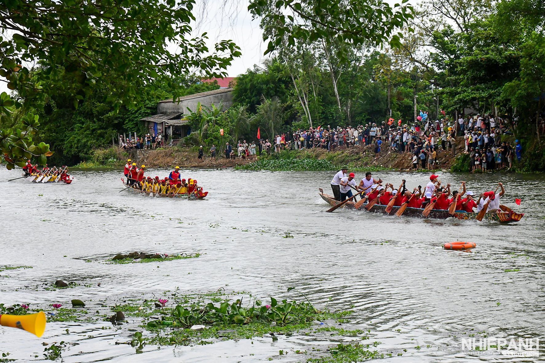 W_dsc_5017-copy.jpg
