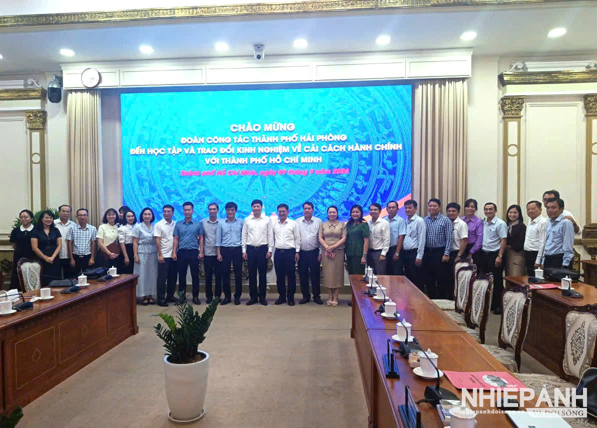 W_phong-3.jpg