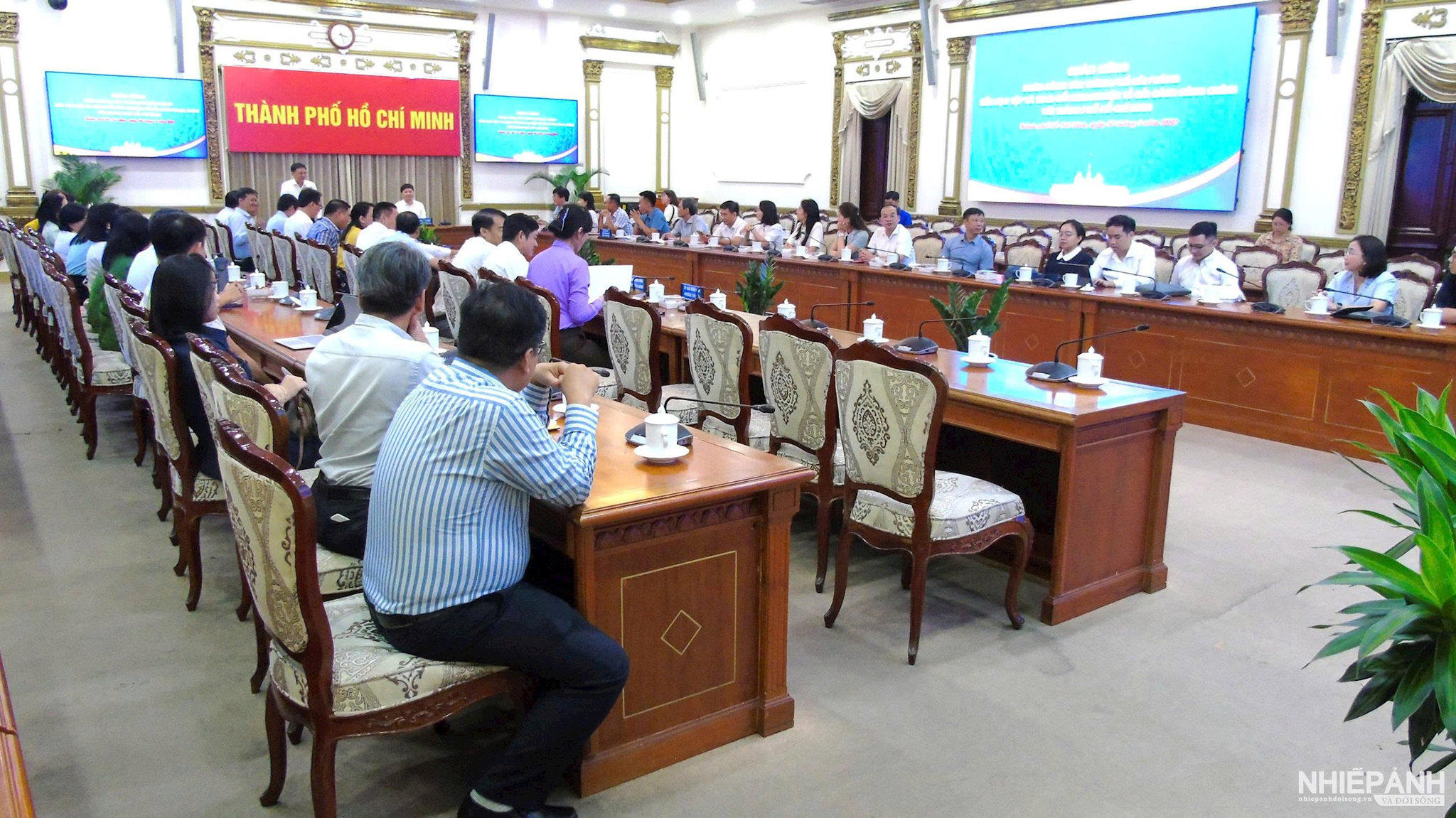 W_phong-7.jpg
