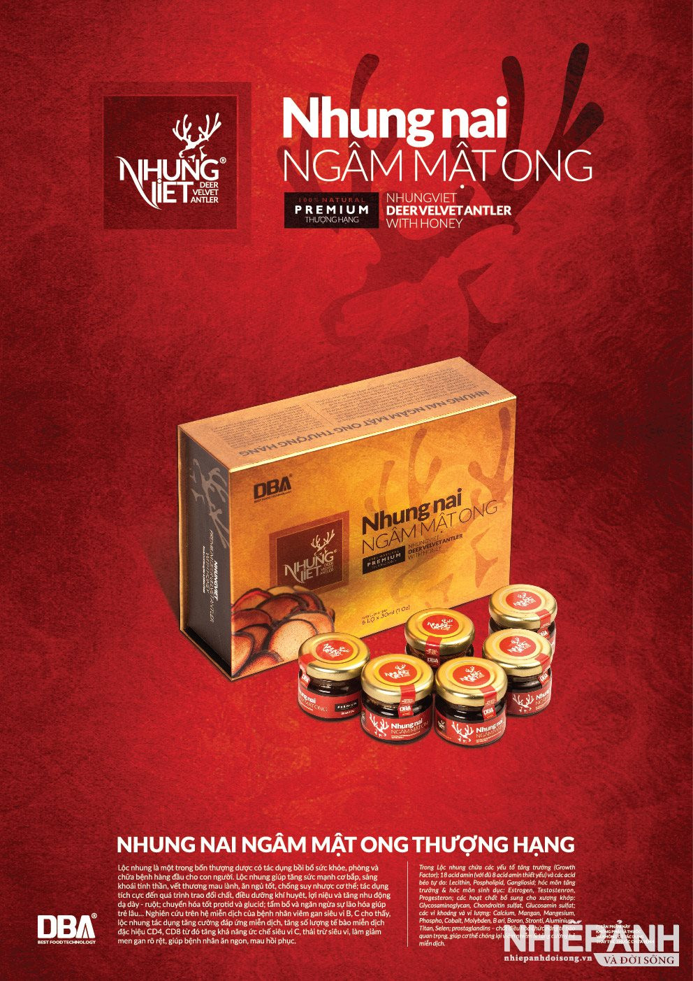 W_to-roi-nhung-nai-02.jpg
