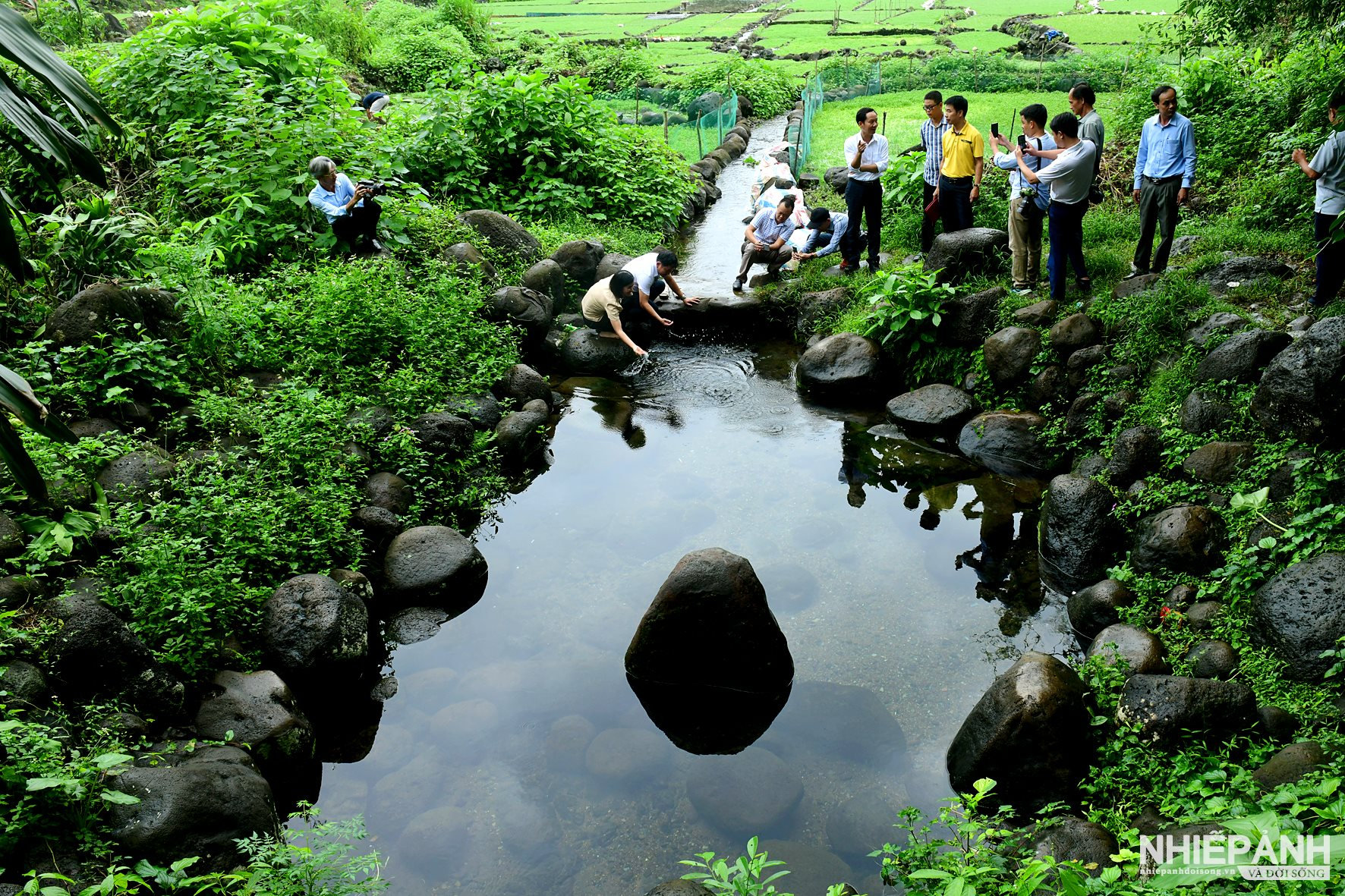 W_dsc_7127-copy.jpg