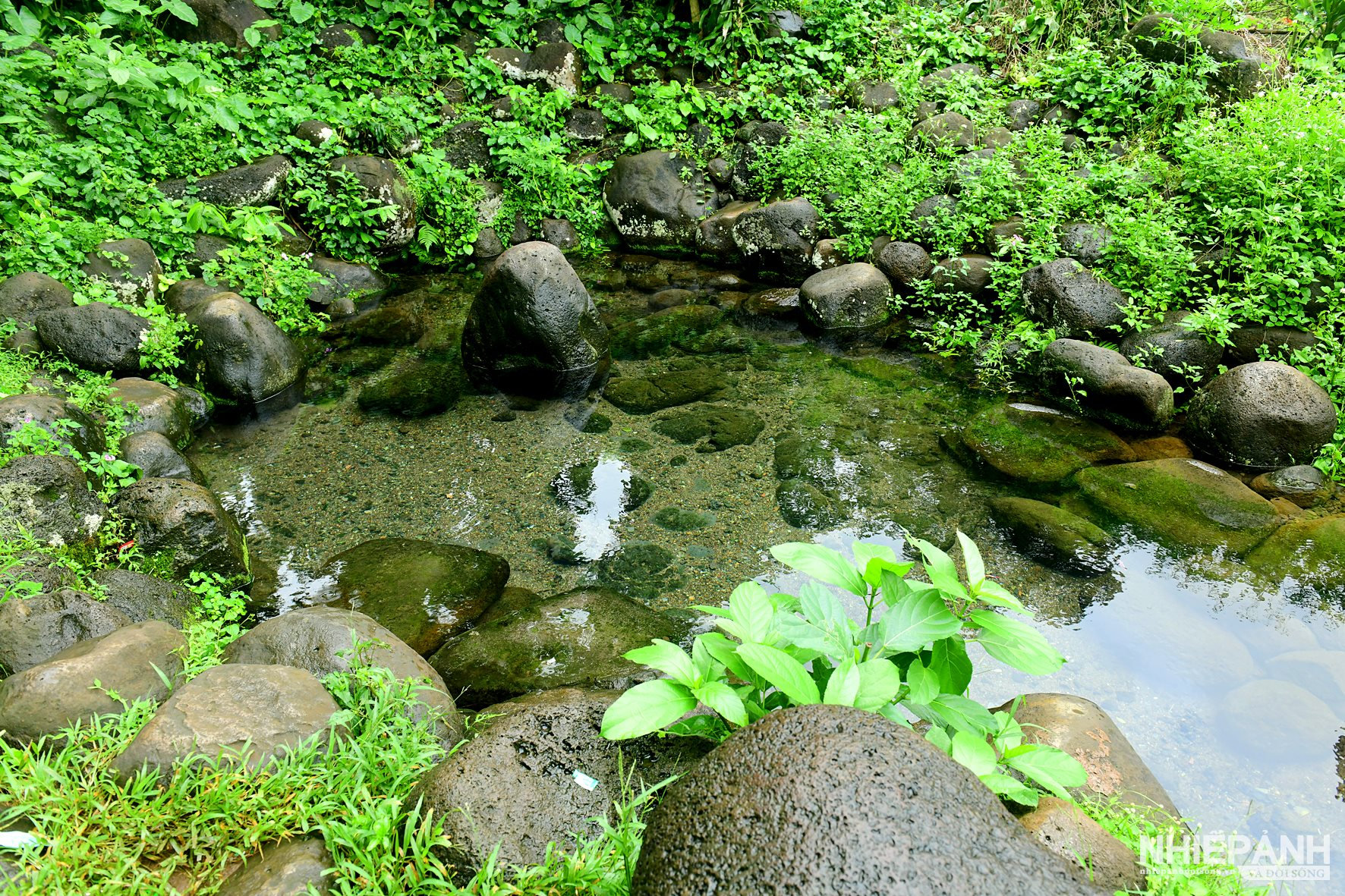 W_dsc_7154-copy.jpg