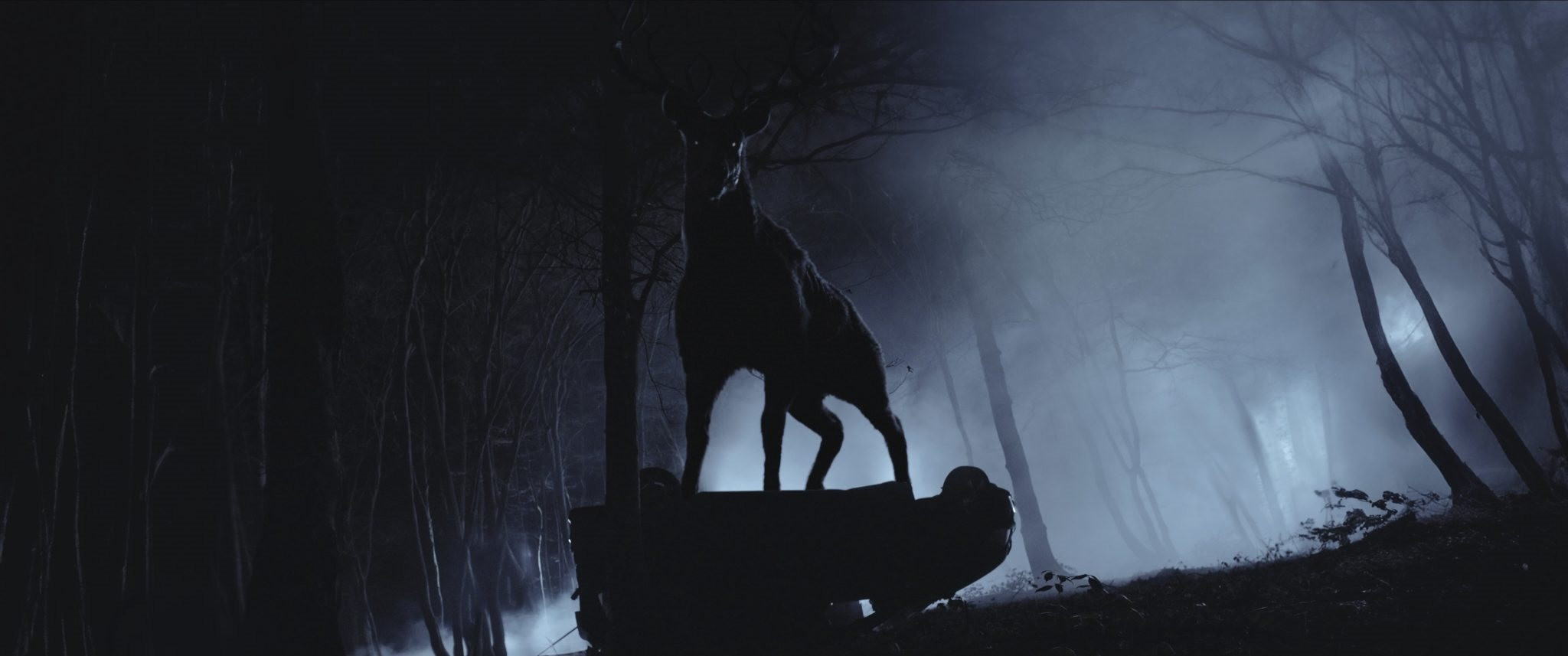 bambi-still(2).jpg