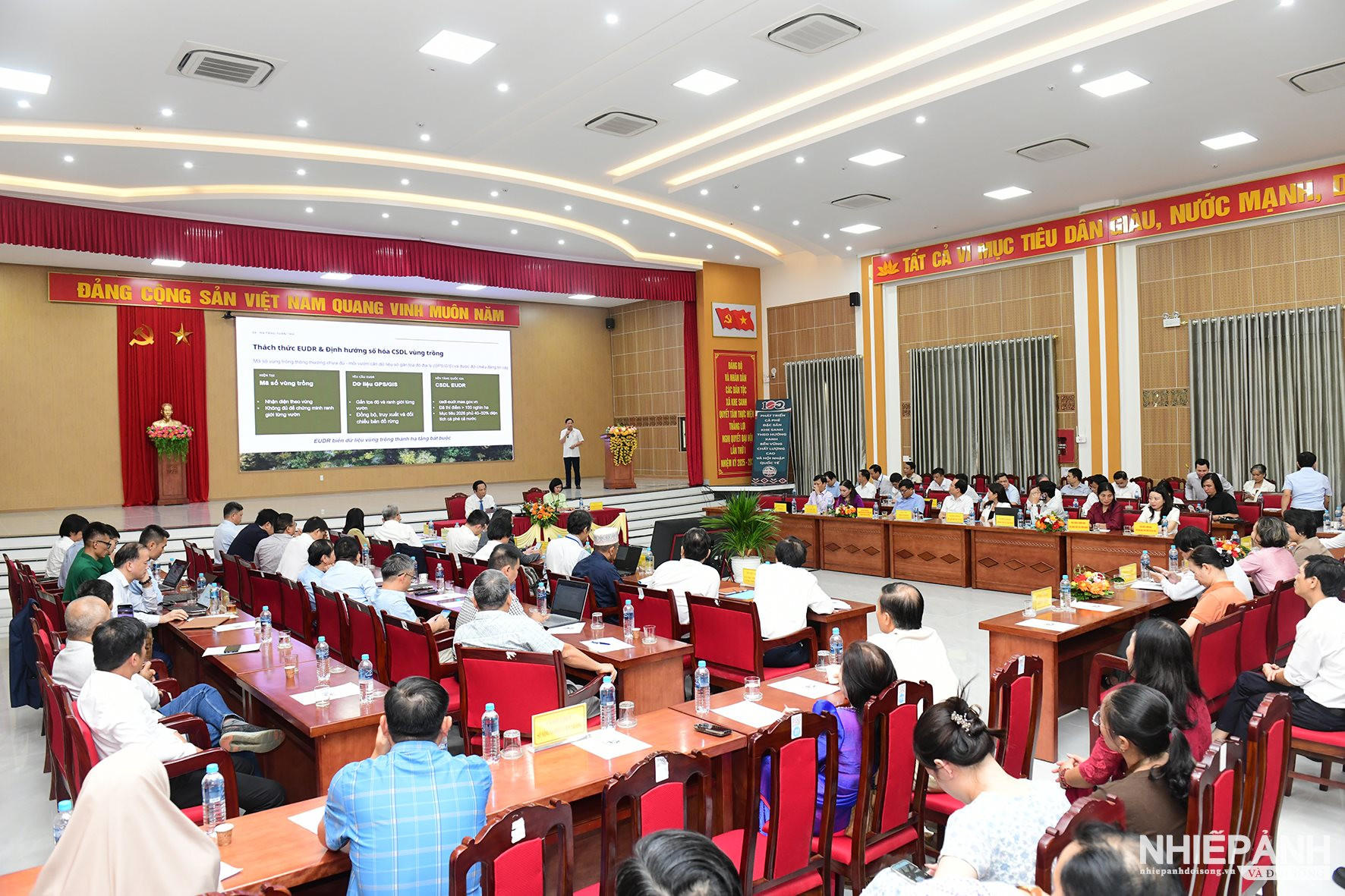 W_dsc_9894-copy.jpg
