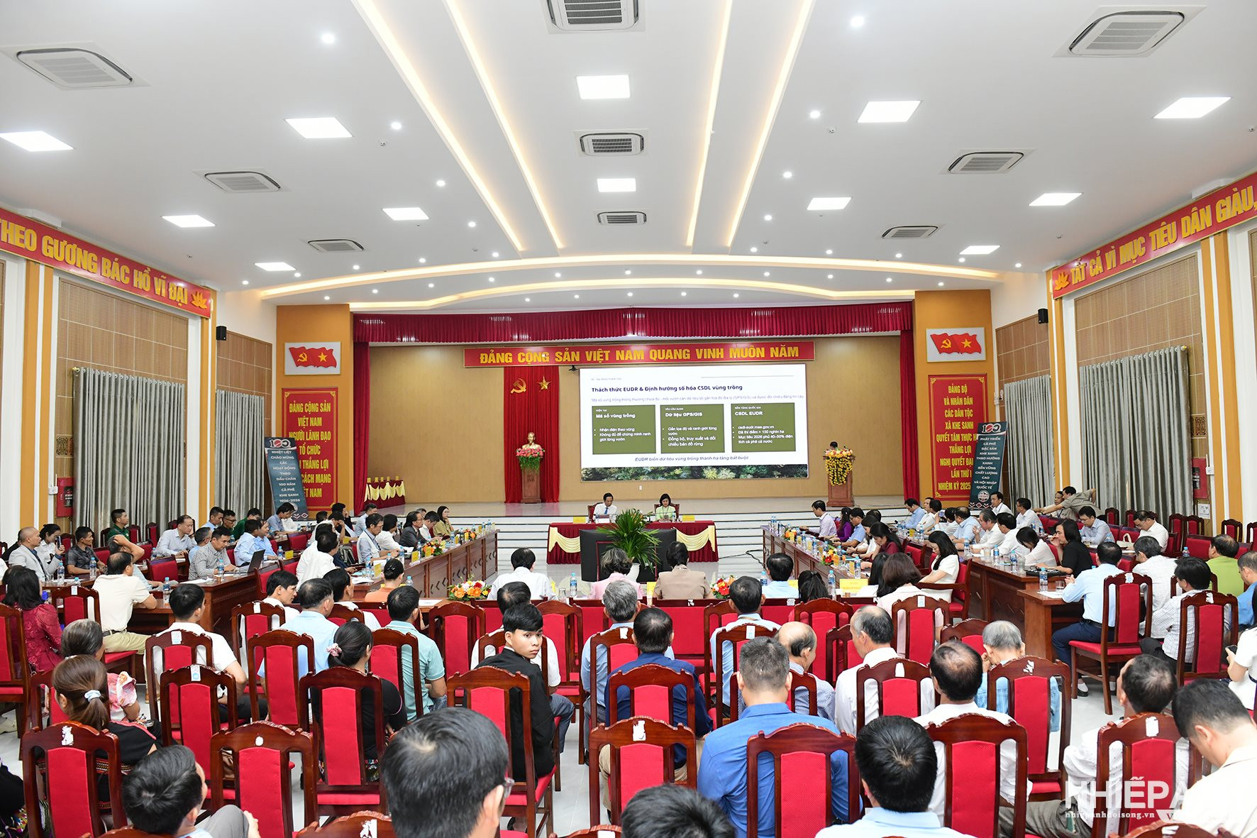 W_dsc_9899-copy.jpg