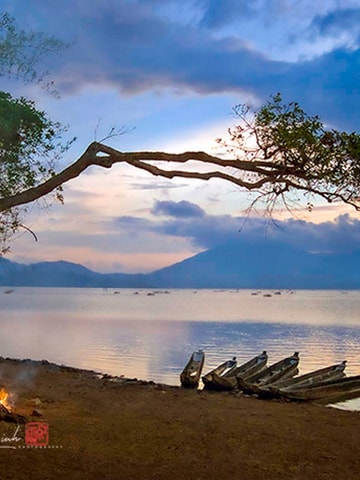 Nhiếp ảnh gia Lê Hồng Linh: Khoảnh khắc đắt giá nằm trong những điều dung dị nhất