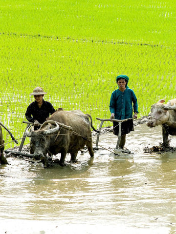 Ấn tượng về "Những nẻo đường tôi qua" – khoảng lặng tinh túy trong sự nghiệp của NSNA Nguyễn Văn Toản
