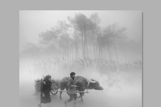 Bộ ảnh đen trắng của Việt Nam đoạt Huy chương Bạc FIAP tại Thổ Nhĩ Kỳ