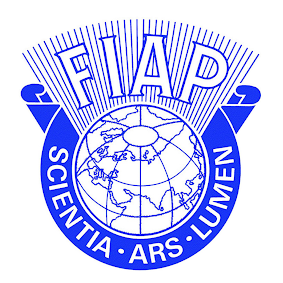 Tiêu chuẩn phong tước hiệu FIAP (áp dụng từ 01/01/2022)