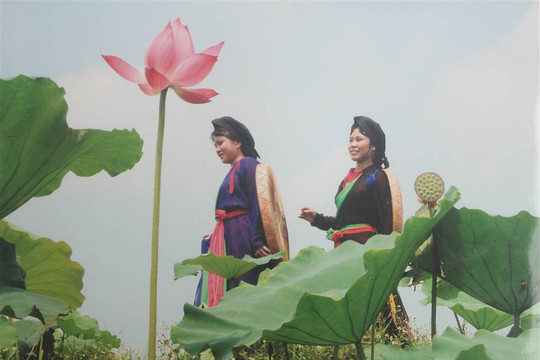 Liên hoan Ảnh nghệ thuật khu vực Đồng bằng Sông Hồng lần thứ XV - 2012