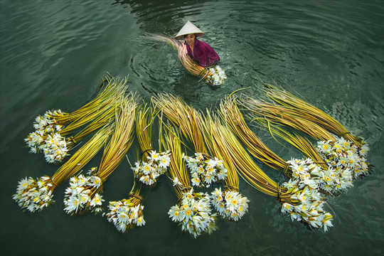 Ảnh vòng Accepts  chủ đề Phụ nữ & việc làm Cuộc thi ảnh Nghệ thuật quốc tế lần thứ 8 tại Việt Nam - 2015 (VN15)