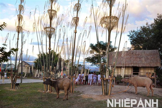 Lễ cúng Mở cửa kho lúa của người dân tộc Rơ Mâm trên cao nguyên Kon Tum