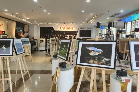 Cuộc thi ảnh về chim được tổ chức lần đầu tại Việt Nam