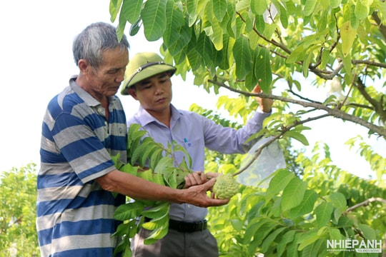 Quảng Bình: Khi đất cằn “nở hoa”…