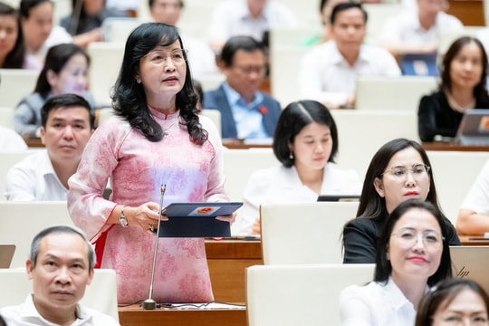 ĐBQH Trần Thị Thu Đông chất vấn Bộ trưởng về nhóm vấn đề văn hóa, thể thao và du lịch