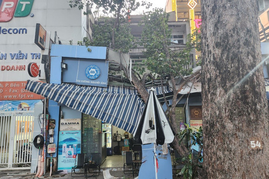 Cành cây gãy làm sập bảng hiệu và mái nhà Hội Nhiếp ảnh TP. Hồ Chí Minh