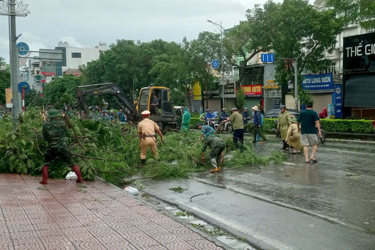 Hà Nội tập trung lực lượng, xử lý cây xanh bị đổ, gãy do siêu bão Yagi