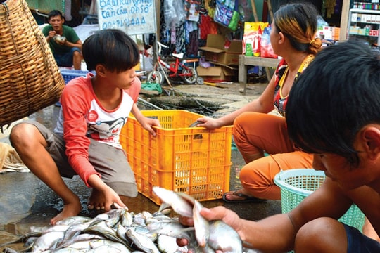 Văn hóa vùng sông nước - Chợ quê An Giang