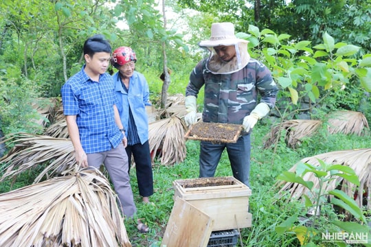 Khuyến nông Quảng Bình hỗ trợ sinh kế bền vững cho người dân vùng khó khăn
