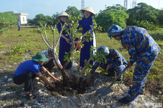 Cán bộ, chiến sĩ Trường Sa hưởng ứng Tết trồng cây nơi đầu sóng ngọn gió