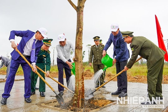 Quảng Bình phát động Tết trồng cây Xuân Ất Tỵ 2025