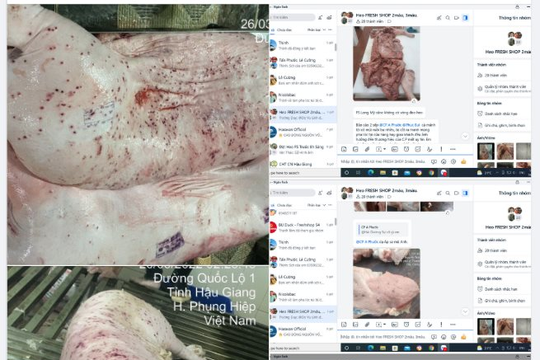 Bị tố bán thịt heo, gà bệnh: C.P. Việt Nam nói gì?
