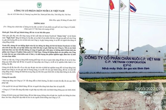 Vụ C.P. Việt Nam bị 'tố' bán thịt heo mắc bệnh: Hình ảnh heo bệnh là thật
