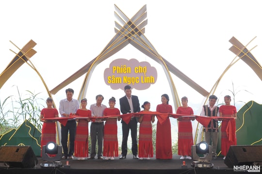 Khai mạc Phiên chợ Sâm Ngọc Linh


