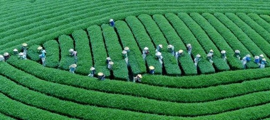Kết quả thi ảnh quốc tế “Kisangani2025” tại Congo