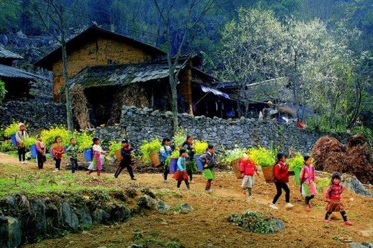 Kết quả thi ảnh quốc tế  “Rhino Cup 2025” tại Kenya
