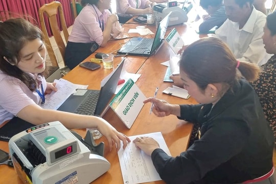Ngân hàng CSXH huyện Bố Trạch hỗ trợ hơn 163 tỷ đồng giúp bà con nông dân phát triển kinh tế