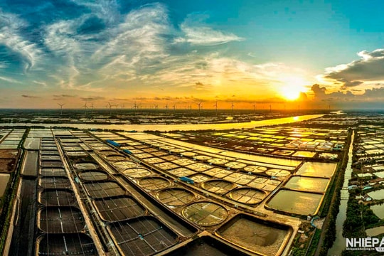 Tổng kết và trao giải Cuộc thi Nhiếp ảnh truyền thống Sóc Trăng năm 2025 “Quê hương Sóc Trăng vững bước tiến vào kỷ nguyên mới cùng đất nước”