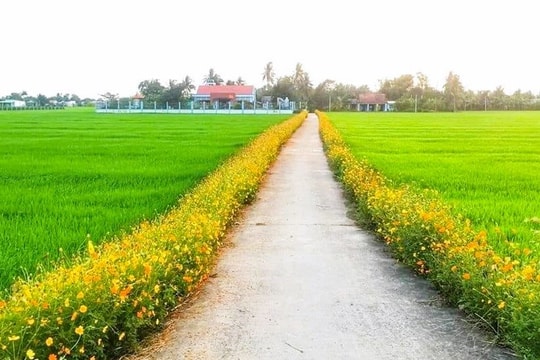 NGHỆ AN
KINH TẾ XÃ HỘI 6 THÁNG ĐẦU NĂM 2025 
VỚI NHỮNG KẾT QUẢ VƯỢT TRỘI
