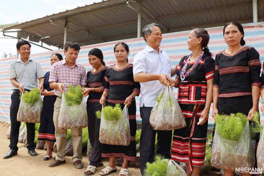 Phiên chợ 0 đồng tại vùng đặc biệt khó khăn của tỉnh Quảng Ngãi