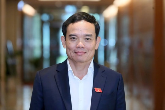 Ông Trần Lưu Quang làm Bí thư Thành ủy TP.HCM